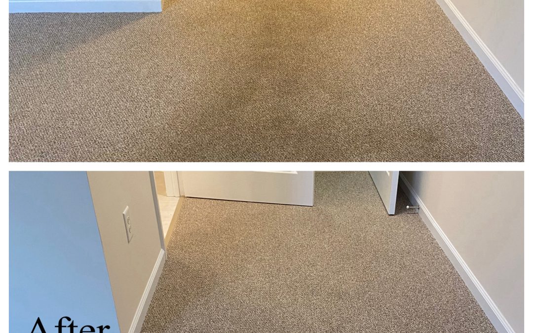 The Innovation of Carpet Dry Clean: The Eco-Friendly Flooring Solution