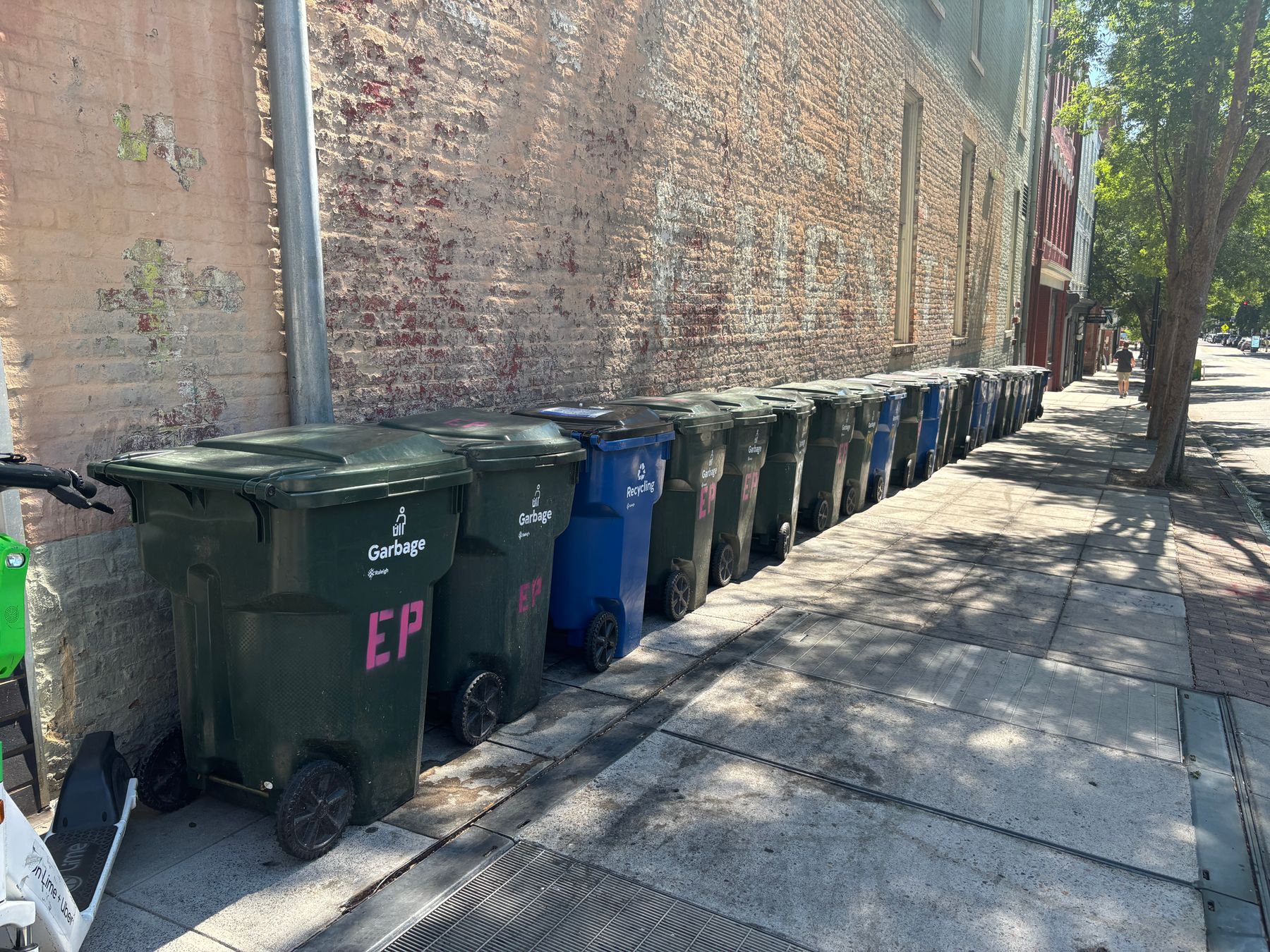 Local community members and artists engage with Raleigh's TRAC bin pilot program, showcasing the collaborative effort towards improved waste management.