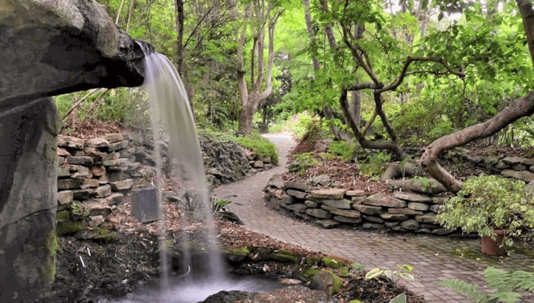 Juniper Level Botanic Garden: A Treasure Trove of Plants in South Raleigh