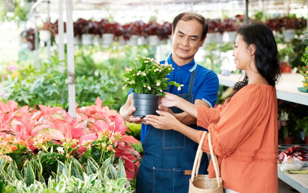 Gardening 101: Picking the Perfect Plants at Your Local Nursery