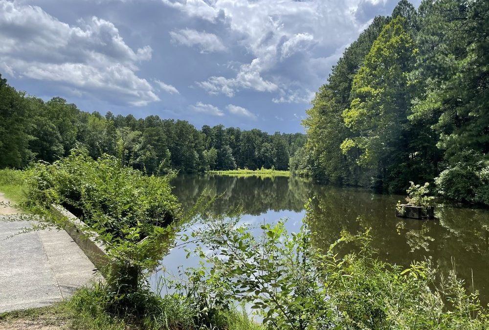 A Complete Guide to Durant Nature Preserve: Trails, Playgrounds, and Picnic Areas